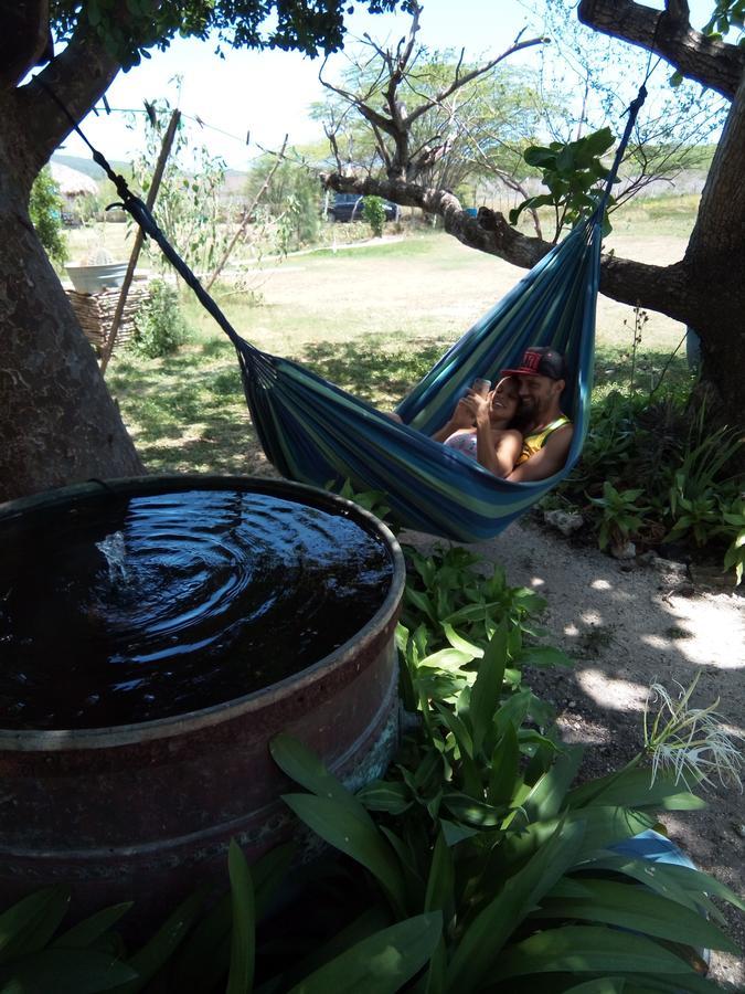 Blossom Bed And Breakfast Treasure Beach Exterior foto